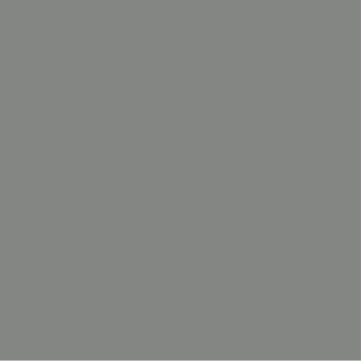 Dust Grey